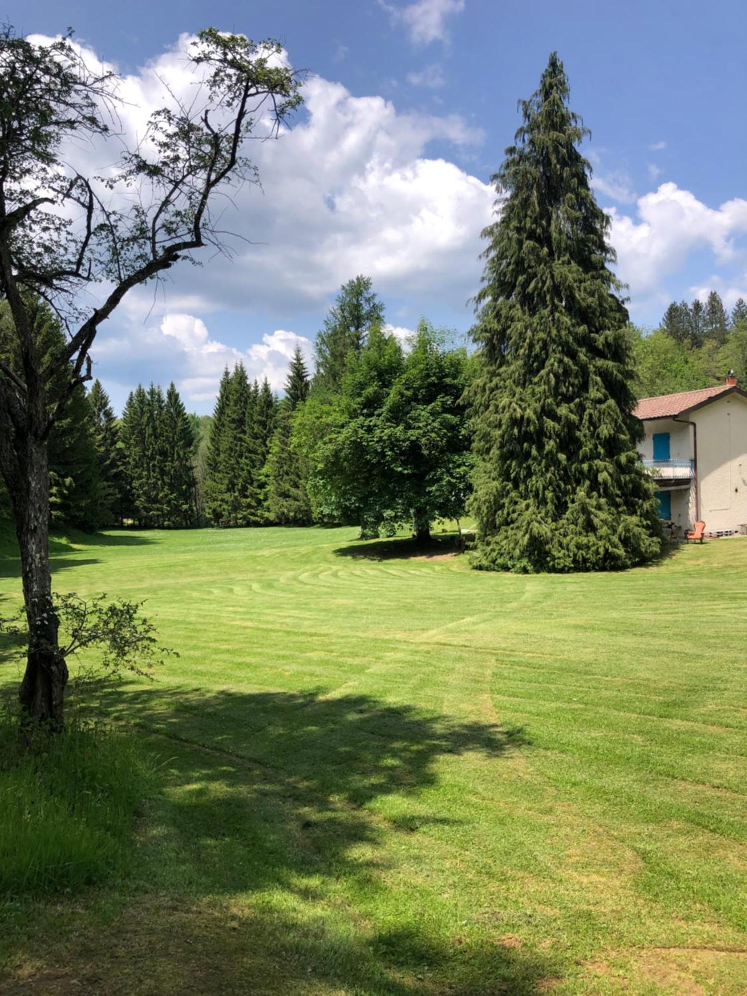 Agriturismo La Casa Nel Bosco Boveglio Exterior foto